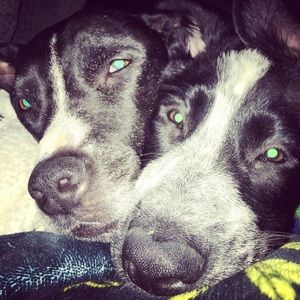 Meet your Posher, Nathalie